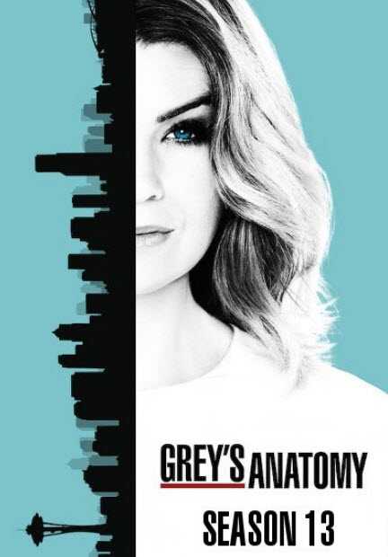 مشاهدة مسلسل Grey’s Anatomy موسم 13 – حلقة 4