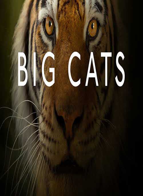 مشاهدة مسلسل Big Cats موسم 1 حلقة 1
