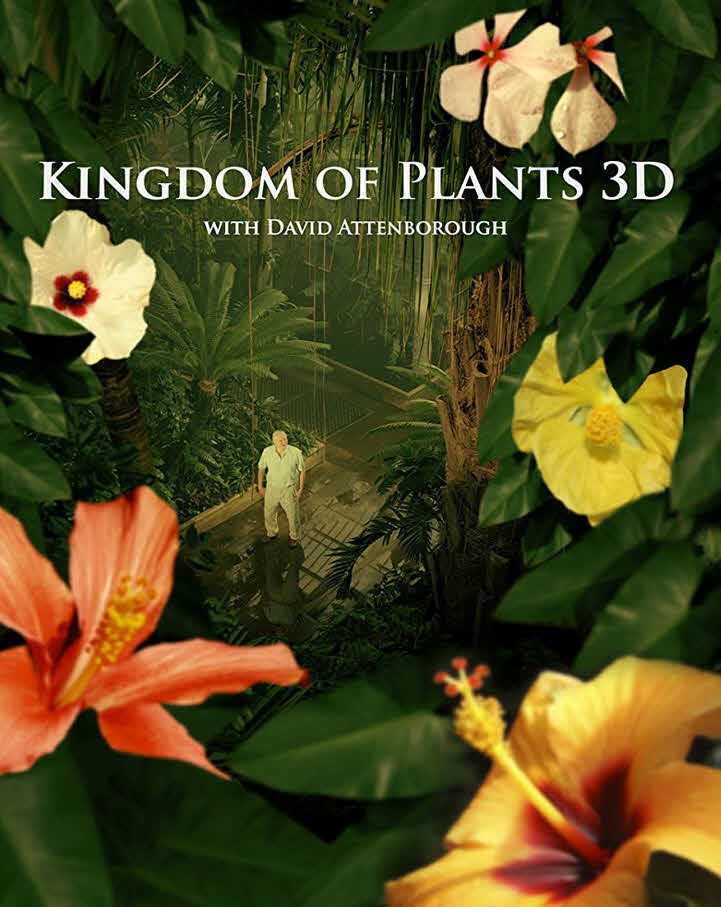 مسلسل Kingdom Of Plants موسم 1